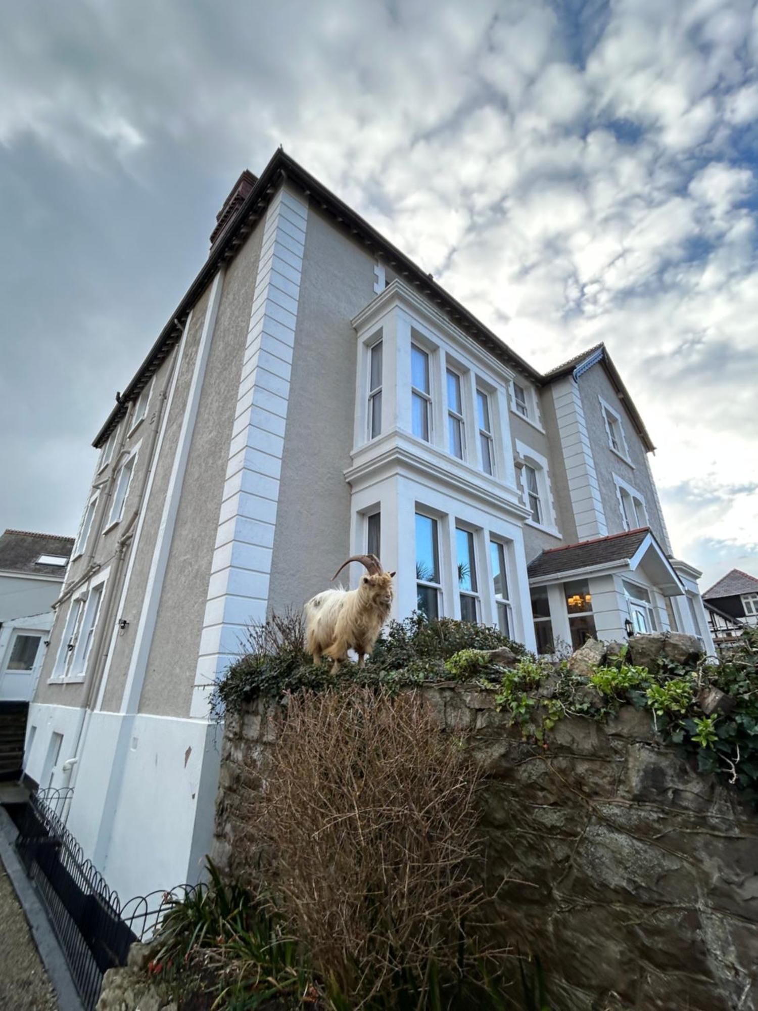 فندق Lansdowne House With Private Car Park لاندودنو المظهر الخارجي الصورة